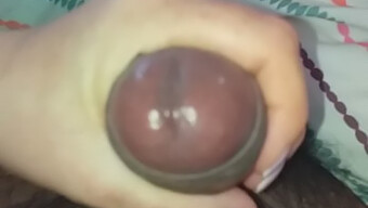 Snappy Hand Masturbation With Ejaculation In Hand