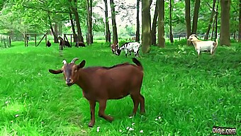 ট্যাটুয়েড স্টাড একটি তরুণ খরগোশ থেকে উদ্দীপনামূলক ওরাল সেক্স উপভোগ করে