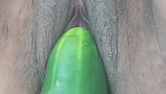 A Bbw Masturbates With A Big Cucumber And Cigarette