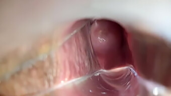 Intimate View Of A Woman Reaching Orgasm Through Her Vagina