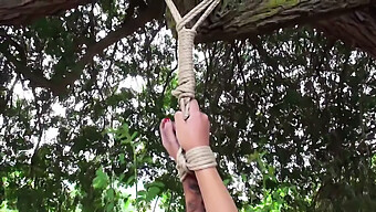 A Woman Stripped Outdoors And Punished With A Severe Whipping