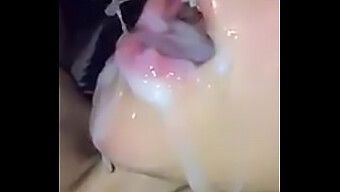 Video Kompilasi Cumshot Wajah Dengan Berbagai Performer