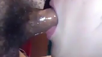 Amateur Chinese Couple Indulges In Sloppy Blowjob And Cum Swallowing