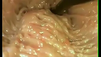 Un Film Sull'Esplorazione Intima Della Vagina Di Una Donna.